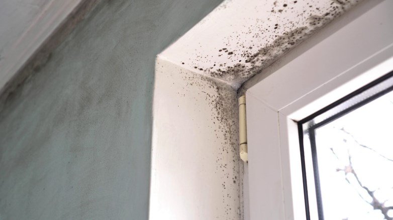 Guide pour résoudre les problèmes d’humidité dans une maison en 2024 1